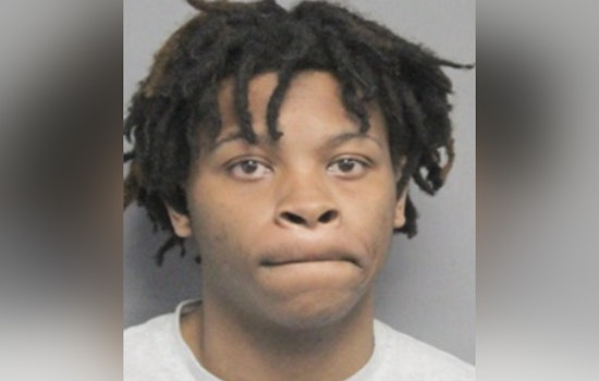 New Orleans Police Department Seeks Public Help to Locate Suspect Dawand Wilson in Armed Carjacking Case
