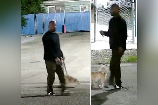 New Orleans Police Seek Public Help to Identify Person of Interest in Marigny Street Aggravated Rape Investigation