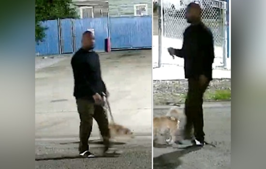 New Orleans Police Seek Public Help to Identify Person of Interest in Marigny Street Aggravated Rape Investigation