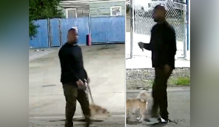 New Orleans Police Seek Public Help to Identify Person of Interest in Marigny Street Aggravated Rape Investigation