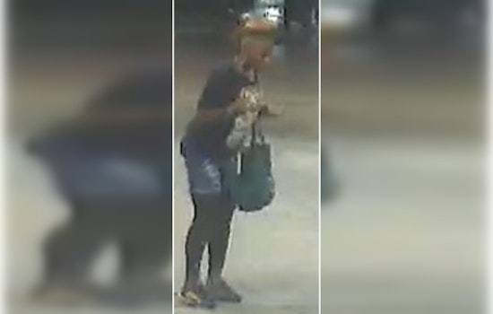 New Orleans Police Seek Woman With Potential Information in Louisa Drive Homicide Case