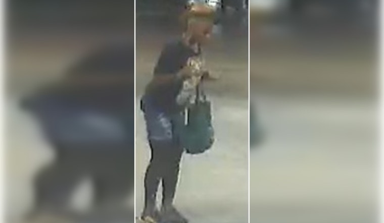 New Orleans Police Seek Woman With Potential Information in Louisa Drive Homicide Case