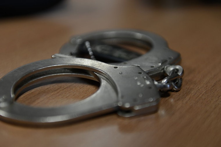 New Rochelle Man Sentenced to One Year for Killing and Dismembering Pet Bulldog
