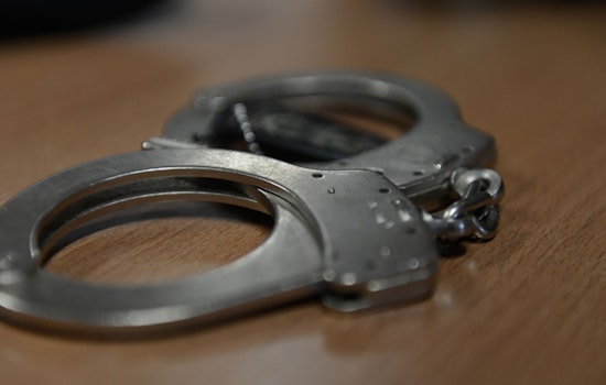 New Rochelle Man Sentenced to One Year for Killing and Dismembering Pet Bulldog