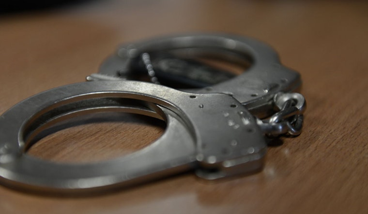New Rochelle Man Sentenced to One Year for Killing and Dismembering Pet Bulldog