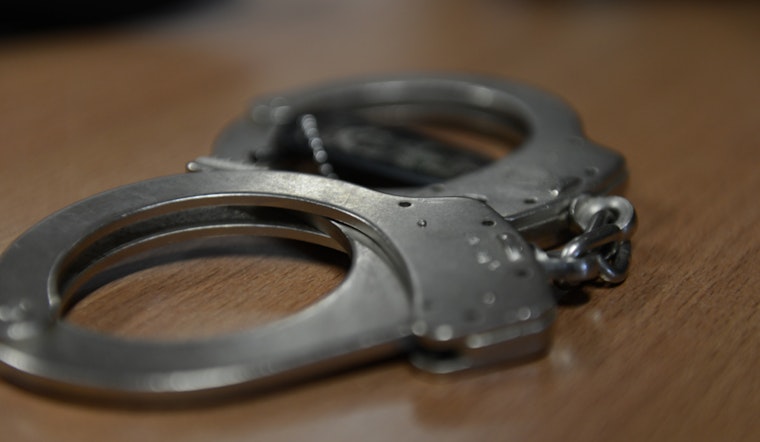 Newark Valley Man Charged with Terroristic Threats Amidst Fiery "No Kings" Protest Wave in NYC
