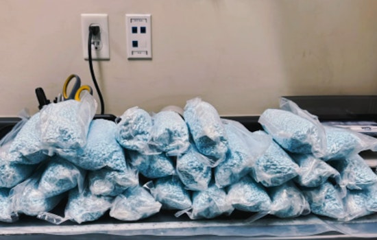 North Las Vegas Police Seize 15 Kilograms of Fentanyl, Avert Potential Crisis