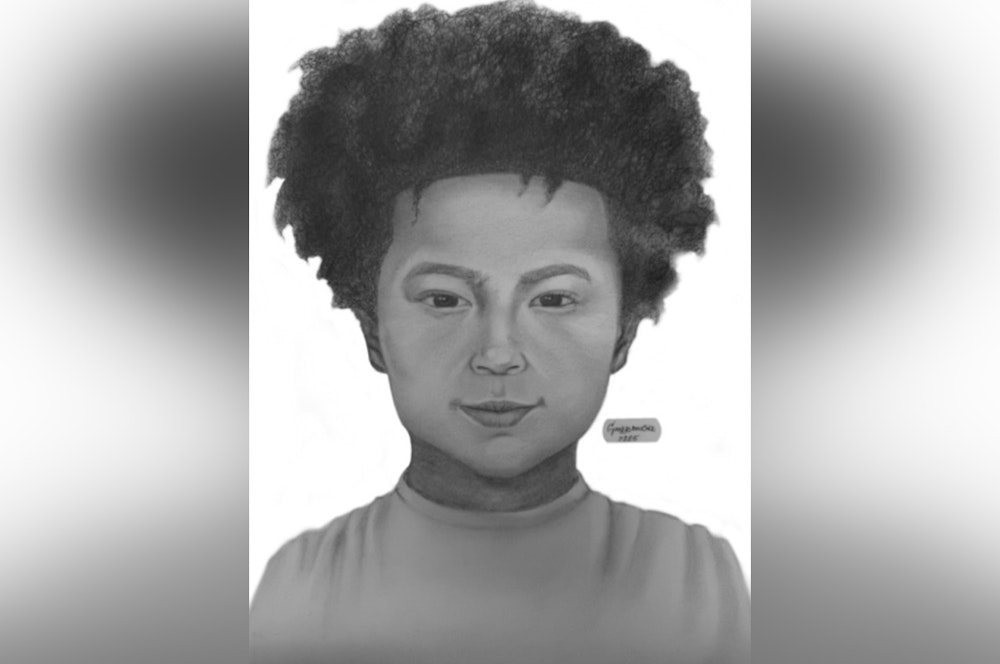 NYPD Releases Sketch of Missing Autistic Boy, 11, from Brooklyn Amid Frightening Blood Clue & Mother's Bizarre Denial