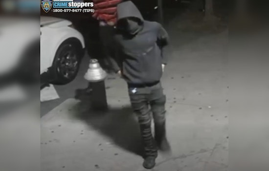NYPD Seeks Help to Identify Suspects in Bronx Armed Robbery Spree