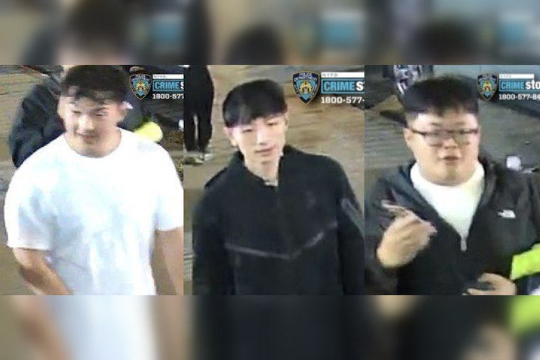 NYPD Seeks Public's Help to Identify Suspects in Queens Park Assault and Robbery