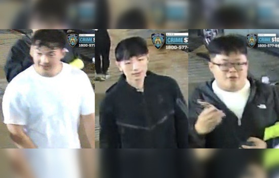 NYPD Seeks Public's Help to Identify Suspects in Queens Park Assault and Robbery