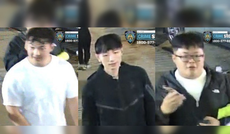 NYPD Seeks Public's Help to Identify Suspects in Queens Park Assault and Robbery