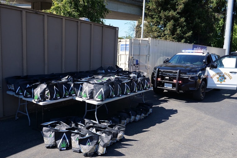 Oakland Traffic Stop Unearths 218 Pounds of Cannabis, Driver Charged with Unlawful Transportation