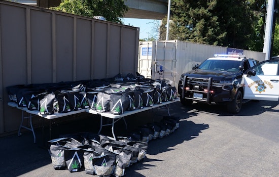 Oakland Traffic Stop Unearths 218 Pounds of Cannabis, Driver Charged with Unlawful Transportation