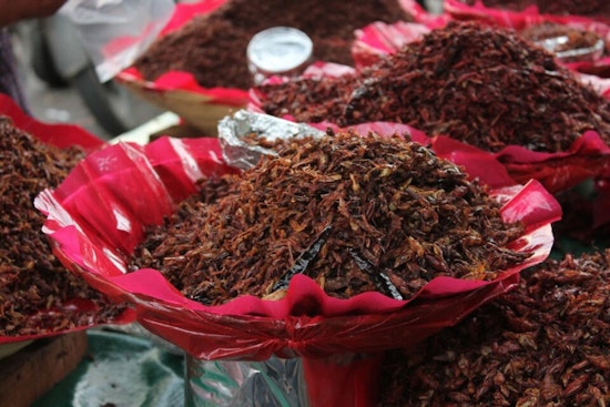 Oaxaca's Chapulines: From Historical Staple to Modern Delicacy in Local Economy, Says Ohio State Researcher
