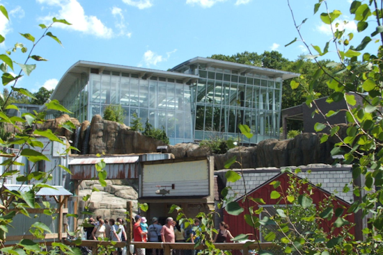 Ohio Man Charged with Felony After Encountering Elephant Inside Pittsburgh Zoo Enclosure