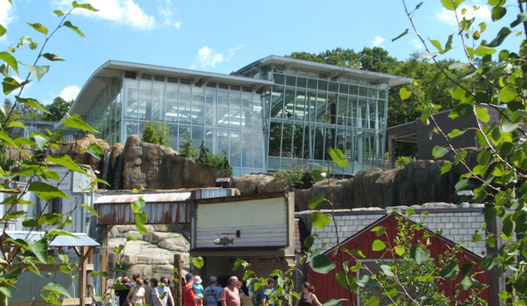 Ohio Man Charged with Felony After Encountering Elephant Inside Pittsburgh Zoo Enclosure