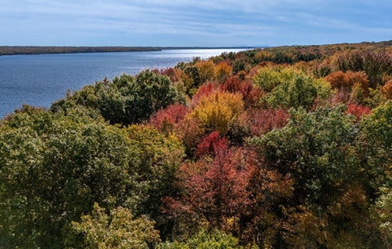 Ohio's Delayed Autumn Blaze: ODNR Reports Vibrant Foliage Now in Full Swing Across the State