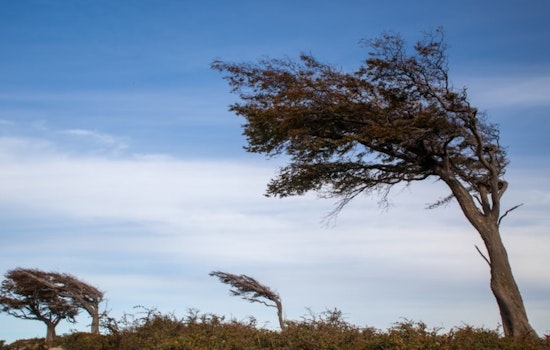 Oklahoma City on Alert as Wind Advisory Issued, Gusts Up to 45 mph Expected