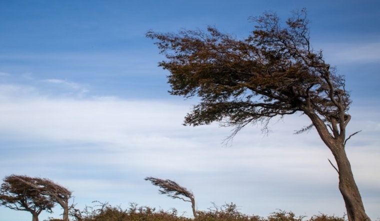 Oklahoma City on Alert as Wind Advisory Issued, Gusts Up to 45 mph Expected