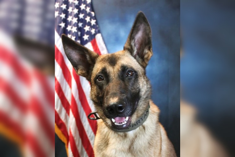 Onslow County Sheriff's Office Welcomes K9 Spartan, a Trained Belgian Malinois, to Enhance Local Law Enforcement
