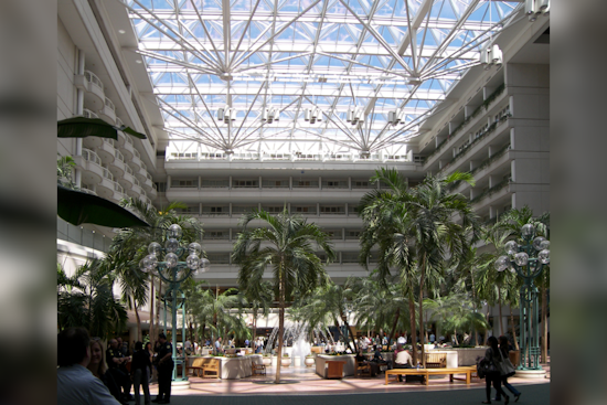 Orlando International Airport Suffers Power Outage, Disrupting Baggage and Passenger Operations