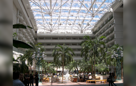 Orlando International Airport Suffers Power Outage, Disrupting Baggage and Passenger Operations