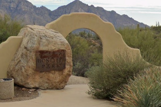 Oro Valley Community Outraged as Mutilated Desert Tortoise Discovered at Honeybee Park