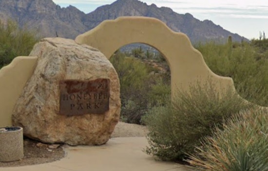 Oro Valley Community Outraged as Mutilated Desert Tortoise Discovered at Honeybee Park