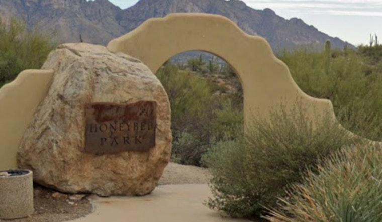 Oro Valley Community Outraged as Mutilated Desert Tortoise Discovered at Honeybee Park