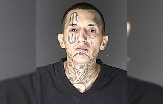 Parolee Arrested, Stolen Vehicle Recovered in El Paso County Sheriff's Operation at Econolodge Hotel