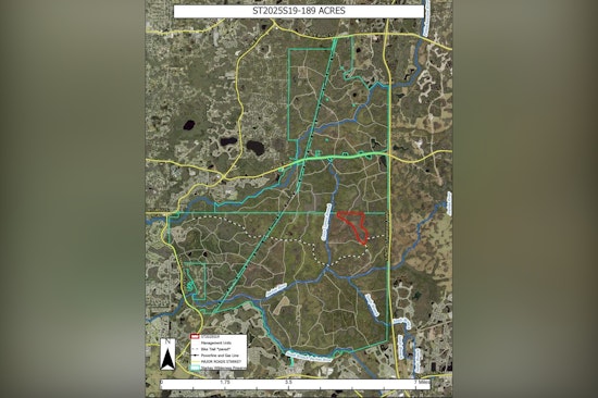 Pasco County Authorities to Conduct Prescribed Burn at Starkey Wilderness Preserve to Mitigate Fire Hazards