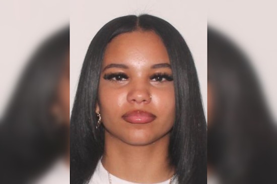 Pasco Sheriff's Office Intensifies Search for Missing 16-Year-Old Lucianna Viaud in Dade City