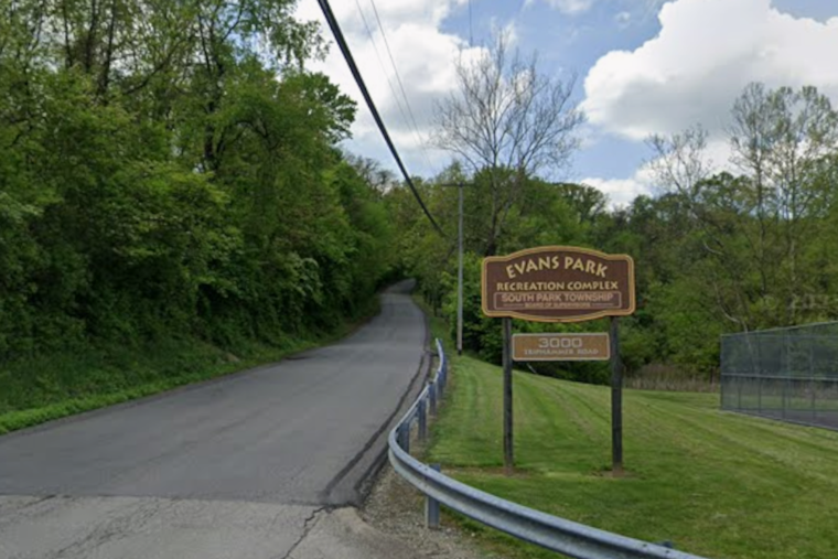 Person Hospitalized After Being Trapped by Fallen Tree and Wires in South Park Township