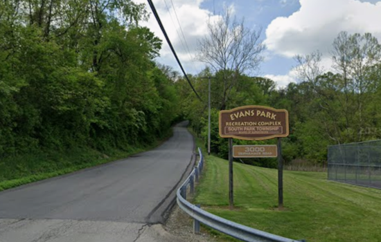 Person Hospitalized After Being Trapped by Fallen Tree and Wires in South Park Township