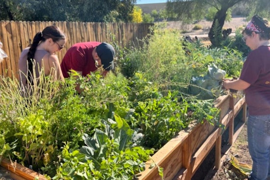 Phoenix Nears Goal with 90% Achievement in Local Food System Improvements According to 2025 Food Action Report