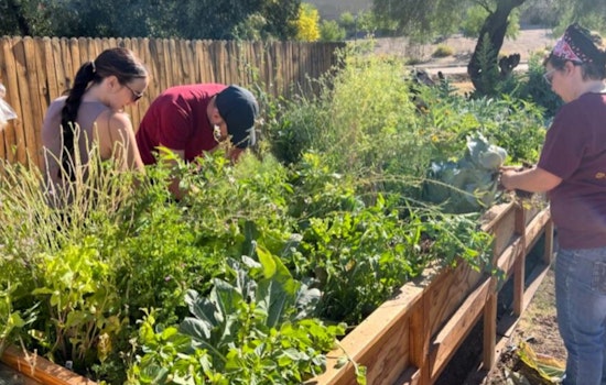 Phoenix Nears Goal with 90% Achievement in Local Food System Improvements According to 2025 Food Action Report