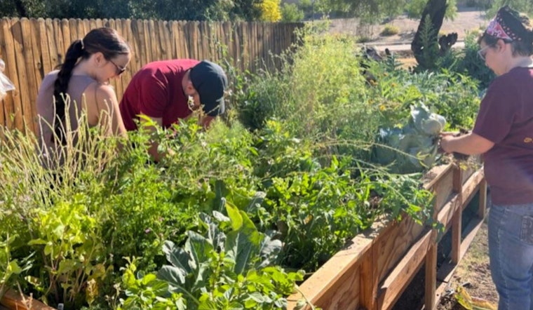 Phoenix Nears Goal with 90% Achievement in Local Food System Improvements According to 2025 Food Action Report
