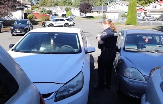 Pierce County Deputy's 'Friday Ride' Reveals Diverse Challenges in Community Policing