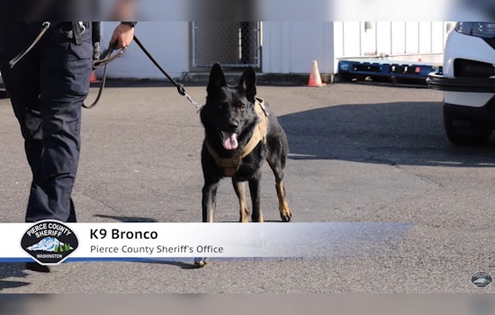 Pierce County Sheriff's Department Welcomes K9 Bronco to Their Four-Legged Force