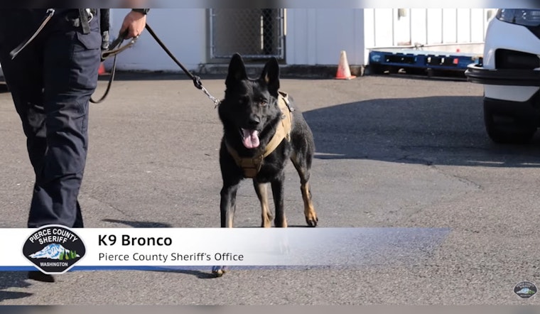 Pierce County Sheriff's Department Welcomes K9 Bronco to Their Four-Legged Force