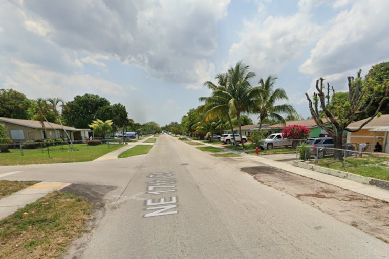 Pit Bull and Puppies Discovered Wounded in Pompano Beach, Suspect Sought by Broward Sheriff’s Office