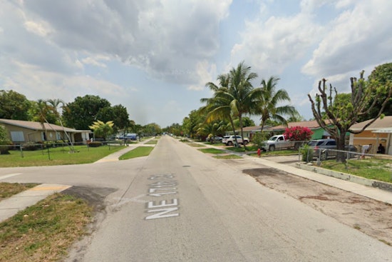 Pit Bull and Puppies Discovered Wounded in Pompano Beach, Suspect Sought by Broward Sheriff’s Office