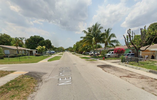 Pit Bull and Puppies Discovered Wounded in Pompano Beach, Suspect Sought by Broward Sheriff’s Office