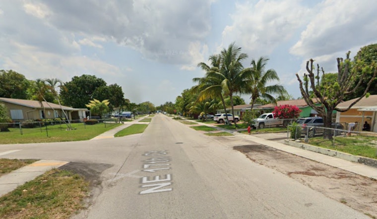 Pit Bull and Puppies Discovered Wounded in Pompano Beach, Suspect Sought by Broward Sheriff’s Office