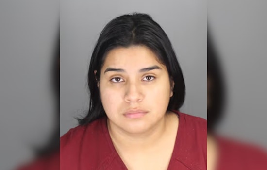Pontiac Woman Charged with 10 Felonies Linked to Alleged Real Estate Fraud Scheme in Oakland County