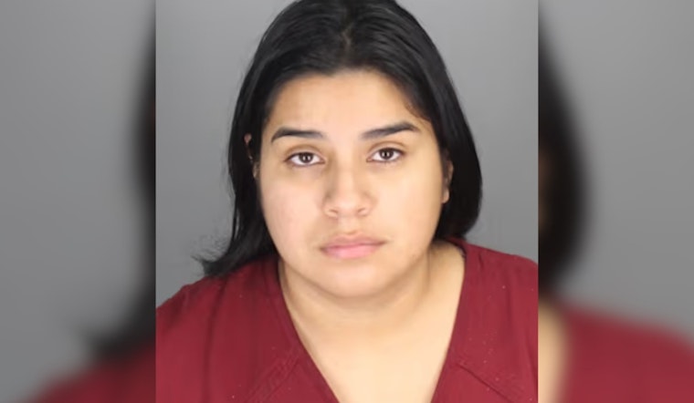 Pontiac Woman Charged with 10 Felonies Linked to Alleged Real Estate Fraud Scheme in Oakland County