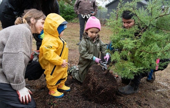 Portland City Council Approves New Urban Forest Plan to Enhance Tree Canopy and Equity