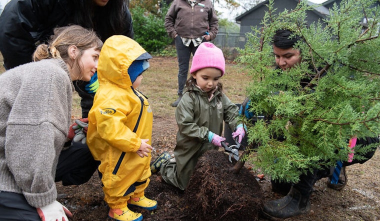 Portland City Council Approves New Urban Forest Plan to Enhance Tree Canopy and Equity
