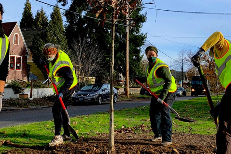 Portland Consolidates Tree Permitting and Enforcement Under Permitting & Development Department